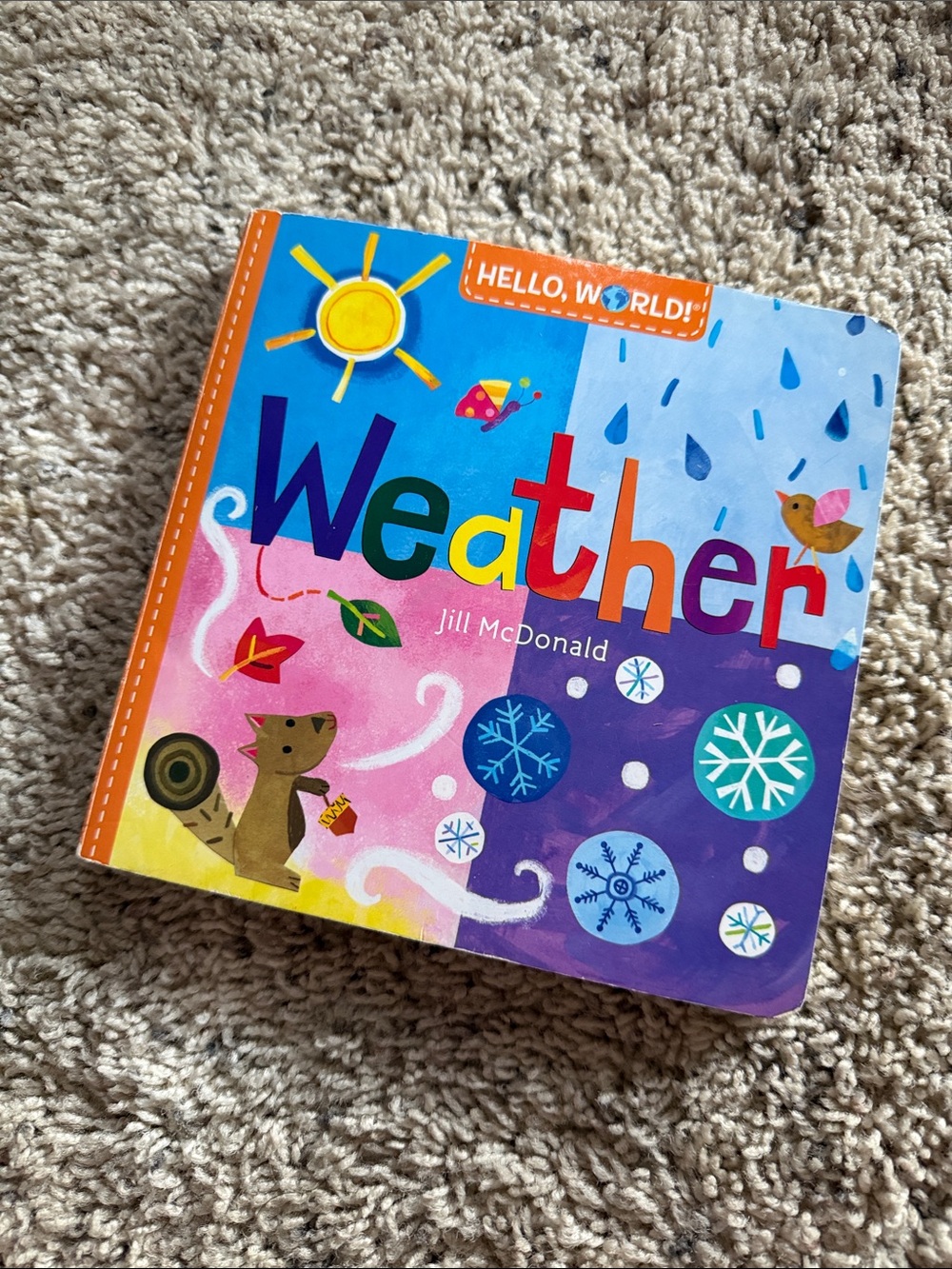 3/$25 🪩 Hello, World! Weather Board Book | Toddler + Children’s Book